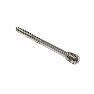 Schroefstift RVS voor scharnierpijpbeugel M10x100 mmm