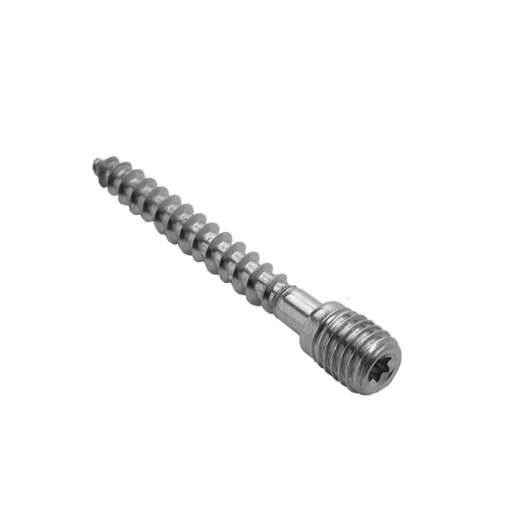 Schroefstift RVS M10x70 mm
