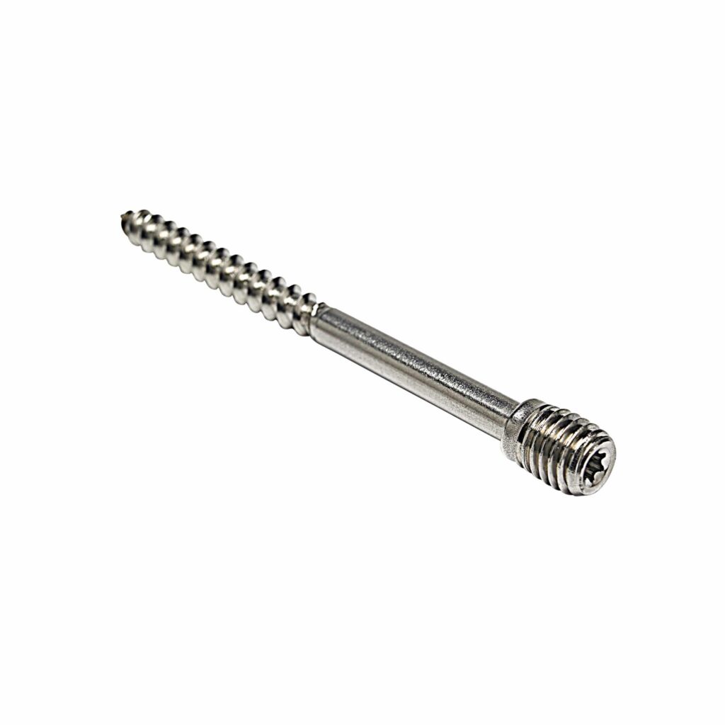 Schroefstift RVS M10x100 mm