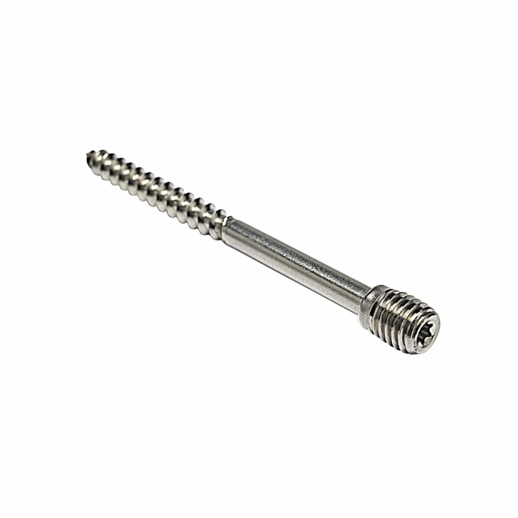 Schroefstift RVS M10x100 mm